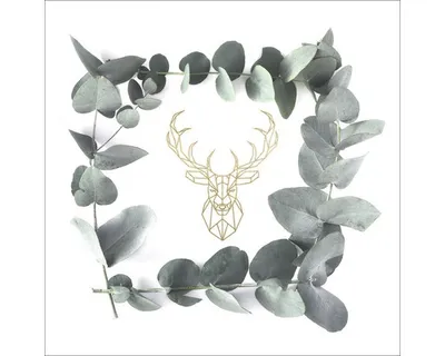 Produktbild von Glasbild Eucalyptus Wreath I 30x30 cm