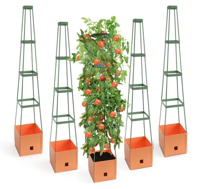 Produktbild von 5er-Set Pflanzenturm MaxiTom, 150 cm, Farbe: terracotta