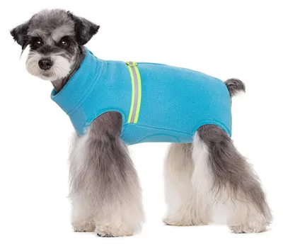 Image de Combinaison d'hiver pour chien, en polaire, couleur bleue, taille XL
