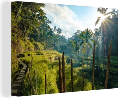 Produktbild von MuchoWow® - Leinwandbilder - Reisterrasse in Indonesien, Wandbild, Wanddeko Bilder Wohnzimmer, 60x40 cm