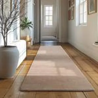 A long, beige runner rug is laid out on a wooden floor in a hallway. A large potted plant with branches is visible on the left.