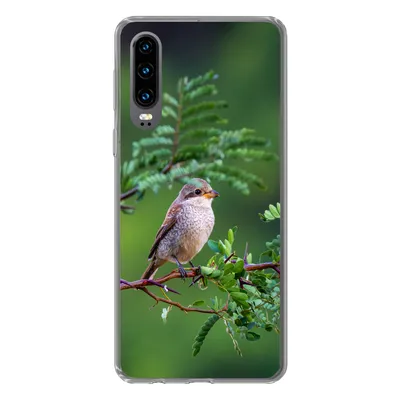 Produktbild von MuchoWow® Handyhülle Schutzhülle Hülle für Huawei P30 Vogel - Baum - Wald Silikon Softcase Handy Hülle - Kartenbesitzer