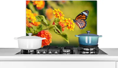 Produktbild von KitchenYeah®  Spritzschutz Küche - Küchenrückwand - Wandschutz für Herd und Spüle - Schmetterling - Insekten - Blumen - Gelb 60x40 - Alu-Dibond (Alternative zum Spritzschutz aus Glas) - Hitzebeständig