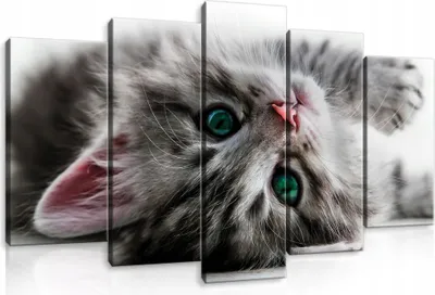 Obrázek produktu pro Obrazy na plátně Kočka Zvířata SET 100x60 cm 5 kusů Moderní obrazy na plátně Obrazy na plátně Obrazy do ložnice Obývací pokoj Obrazy na zeď Umělecký tisk Obraz na plátně Připraveno k zavěšení