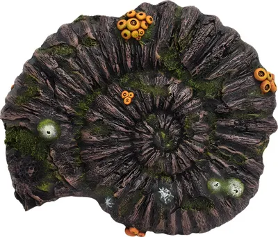 Produktbild von Nobby Aquariendekoration Ammoniten Fossil