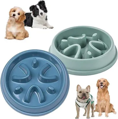 Image de Gamelle anti-glouton pour chiens, 21 x 45 cm