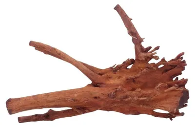 Produktbild von L Jungle Wood Wurzel Nr.4501 Holz Deko Aquascaping