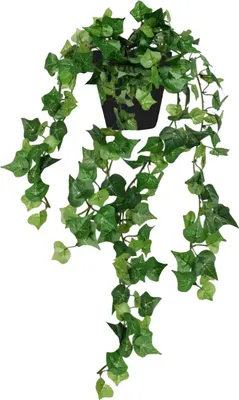Immagine prodotto di Edera artificiale in vaso, ghirlanda sospesa, 90 cm