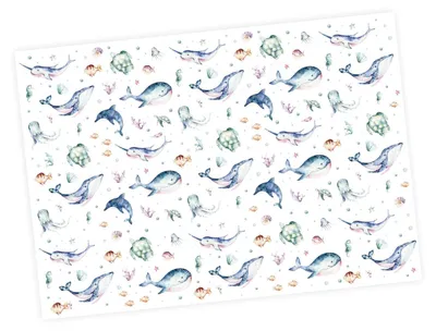 Obrázek produktu pro 5 listů balicího papíru mořská zvířata barevné akvarely - 1,60€/m2 - 84,1 x 59,4 cm