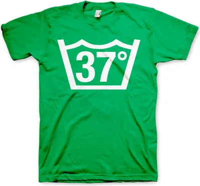 Produktbild von 37 Celcius Tee - XX-Large - Green