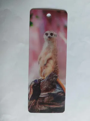 Produktbild von 3D Lesezeichen Erdmännchen, 15x5cm, Wackelbild Wackelkarte Buchzeichen Bookmark Bücher Tier Erdmann