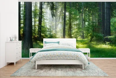 Produktbild von MuchoWow® Fototapete für Wohnzimmer oder Schlafzimmer Wandtapete Vinyl Motivtapete Natur - Bäume - Wald - Grün - Sonne - Gras - Pflanzen - 465x260 cm - Hintergrundbild
