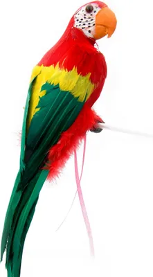 Zdjęcie produktu dla Boland 52354, Dekoracja, Feather, Polistyren, Wielobarwny, 41 g, 100 mm, 300 mm