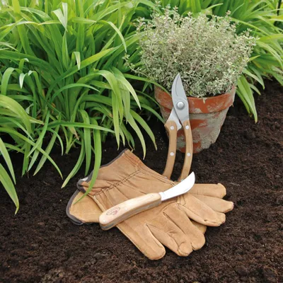 Produktbild von Esschert Design Edelstahl Schneideset; GT43