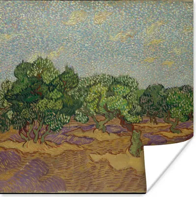 Produktbild von MuchoWow® Poster Olivenbäume - Vincent van Gogh 50x50 cm - Wohnzimmerdekoration
