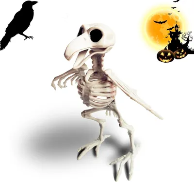 Immagine prodotto di Set di corvi, scheletro in plastica, decorazione per Halloween, 1 pezzo, per creare un'atmosfera spaventosa