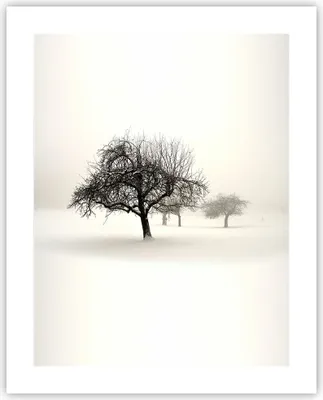 Produktbild von Poster - Poster ohne Rahmen - Bäume Schnee Nebel - 40x50 cm - Wand Bild - Wanddeko - Wandbilder - Kunstposter - Wandposter - Bilder - Kunstdruck - Wanddekoration - Wandbild - P2XPA40x50-4136