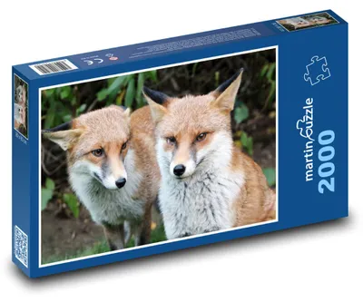 Obrázek produktu pro Puzzle 2000 Lišky v lese - martinpuzzle