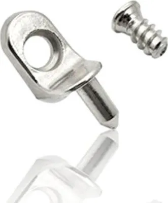 A metal shelf support pin and a screw are shown against a white background.