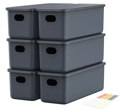 Produktbild von 6er-Set Aufbewahrungsboxen mit Deckel, PP-Kunststoff, 6 x 2,8 l (28 x 10,5 x 9,5 cm), grau
