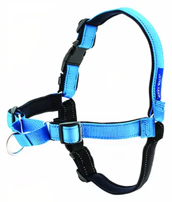 Produktbild von Hundegeschirr Easy Walk Deluxe 23-30 cm nylon blau
