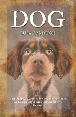 Produktbild von Dog