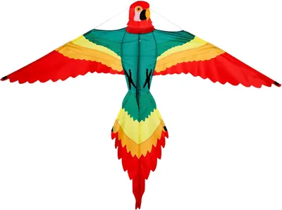 Immagine prodotto di Drago, pappagallo, forma per bambini, con maniglia e corda, colorato, per l'uso esterno