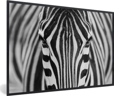 Produktbild von MuchoWow® Gerahmtes Poster Zebra - Tiere - Schwarz und weiß - Porträt 90x60 cm - Poster mit Schwarzem Bilderrahmen Wandposter Rahmen Foto Bilder - Fotorahmen - Foto-Plakat