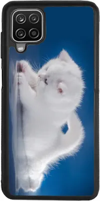 Produktbild von TPU Silikon Hülle für Samsung Galaxy A12 Handy Cover Case Schutzhülle Handyhülle Bumper MOTIV 121 Katze Baby Weiß