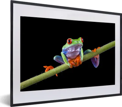 Produktbild von MuchoWow® MuchoWow® Gerahmtes Poster Frosch - Pflanze - Schwarz 60x40 cm - Poster mit zchwarzem Bilderrahmen - Schlafzimmer - Plakat in Rahmen - Drucken
