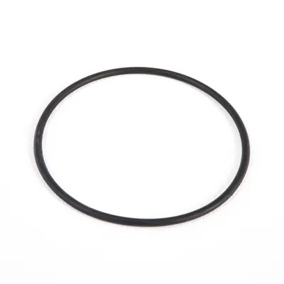 A black o-ring seal on a white background.