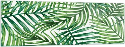 Produktbild von Bilder auf glas - Palme Blatt grün - 160x50cm - Glasbilder - Wandbilder - Kunstdruck - zum Aufhängen bereit - Wanddekoration aus Glas - Glas Bilder - Wandbild auf Glas - Einteilig - GAB160x50-3777