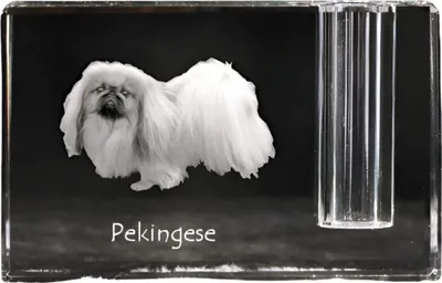 Produktbild von Pekingese, Pekinese, Peking-Palasthund - Stifthalter, Kristallorganizer mit Hundefoto, einzigartige Schreibtischdekoration der Marke Art-Dog