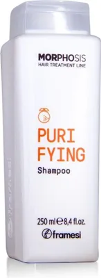Produktbild von Framesi Morphosis Purifying Shampoo 250ml -Antischuppenshampoo