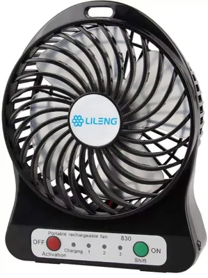 Produktbild von Palmblatt 3-Geschwindigkeits Mini Ventilator mit USB-Ladefunktion