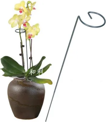 Produktbild von Pflanzenhalter 40 cm, dunkelgrün, Metall beschichtet