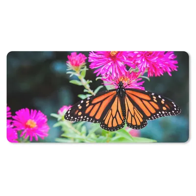 Produktbild von MuchoWow® Schreibtischunterlage Schmetterling - Botanisch - Blume 80x40 cm - XXL Mauspad - Gaming Mauspad