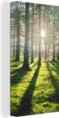 Produktbild von MuchoWow® - Leinwandbilder - Bäume - Natur - Wald, Wandbild, Wanddeko Bilder Wohnzimmer, 20x40 cm