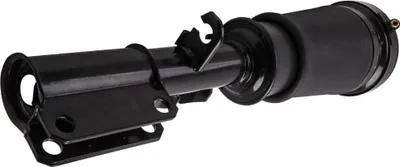 Image de Jambe de suspension pneumatique, jambe de suspension avant droite pour BMW E53 X5 2000-2006 37116757502