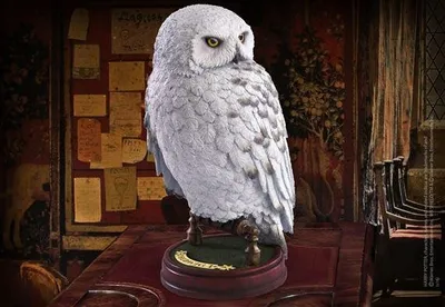 Immagine prodotto di Harry Potter: Edvige il gufo - statua 25 cm