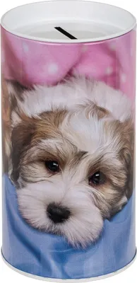 Produktbild von Metall-Spardose Tiere 15,5·8cm abnehmbarer Deckel Hundewelpen Westi