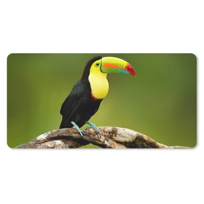 Produktbild von MuchoWow® Schreibtischunterlage Vogel - Tukan - Regenbogen - Grün - Zweig 80x40 cm - XXL Mauspad - Gaming Mauspad