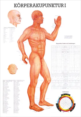 Produktbild von Körperakupunktur I Lehrtafel Anatomie 100x70 cm medizinische Lehrmittel
