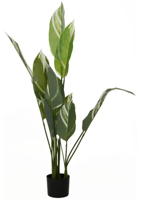 Produktbild von Künstliche Pflanze mit großen Blättern, 118 cm