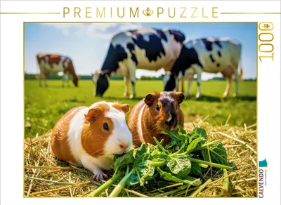 Produktbild von CALVENDO Puzzle Fressen mit den Kühen. | 1000 Teile Lege-Größe 64x48cm Foto-Puzzle für glückliche Stunden