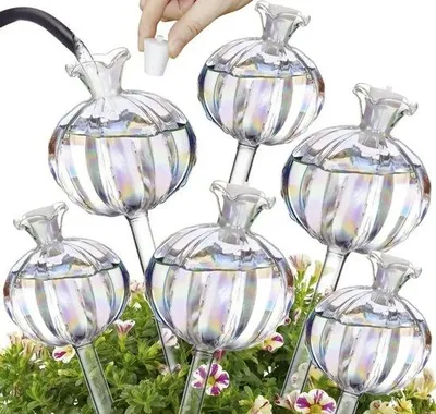 Image de Système d'arrosage automatique, 6 pièces, transparent