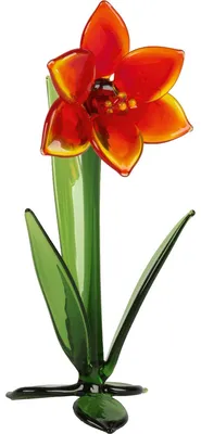 Imagen del producto de Glasblume "Amaryllis".