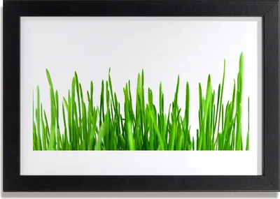 Produktbild von Bild 30x20 MDF-Rahmen Wandkunst Gras Natur Pflanze