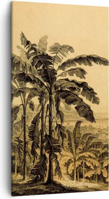 Produktbild von Bild auf Leinwand - Leinwandbild - Einteilig - Palmen Wald Regnerisch - 45x80cm - Wand Bild - Wanddeko - Wandbilder - Leinwanddruck - Bilder - Wanddekoration - Leinwand bilder - PA45x80-4983