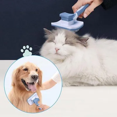 Produktbild von Kamm Borstel für Hunde & Katzen, Massage Bürste für kurz, mittel & langes Haar